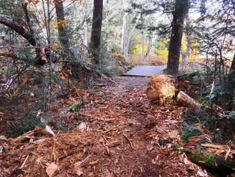 picture taken during a hike