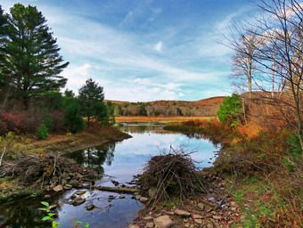 picture taken during a hike