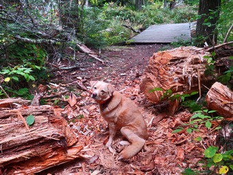 picture taken during a hike