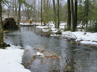 picture taken during a hike