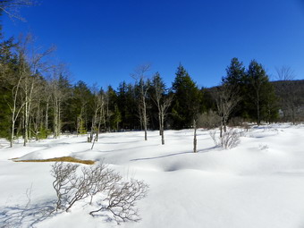 picture taken during a hike