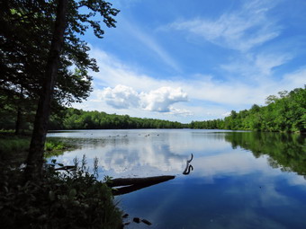 picture taken during a hike