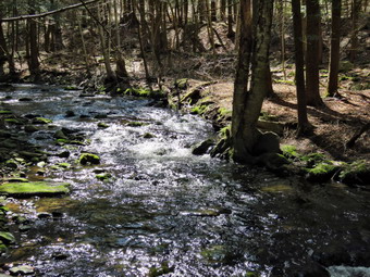 picture taken during a hike