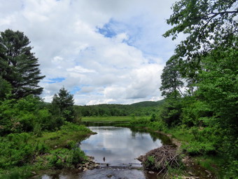 picture taken during a hike