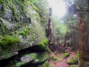 picture taken during a hike