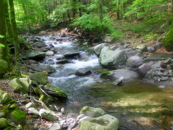 picture taken during a hike