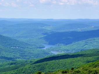 picture taken during a hike