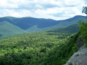 picture taken during a hike