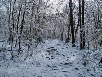 picture taken during a hike