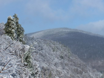 picture taken during a hike