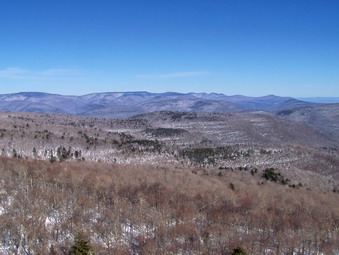 picture taken during a hike