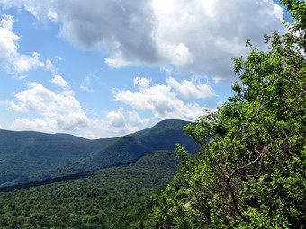 picture taken during a hike