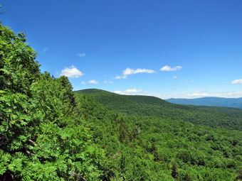 picture taken during a hike