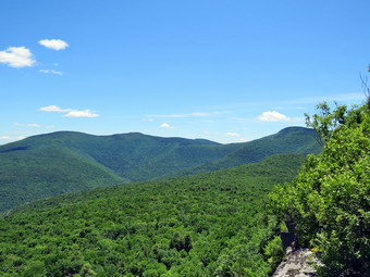 picture taken during a hike