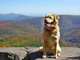 picture taken during a hike