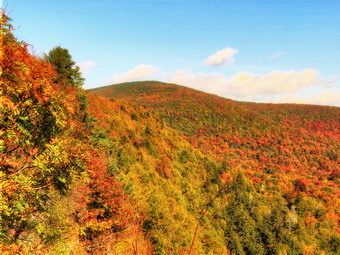 picture taken during a hike