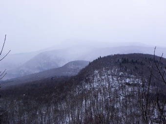 picture taken during a hike