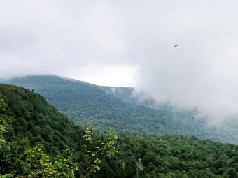 picture taken during a hike