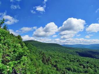 picture taken during a hike