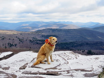 picture taken during a hike