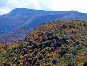 picture taken during a hike