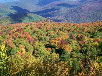 picture taken during a hike