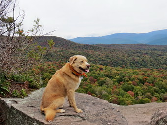 picture taken during a hike