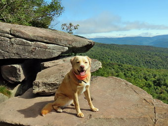 picture taken during a hike