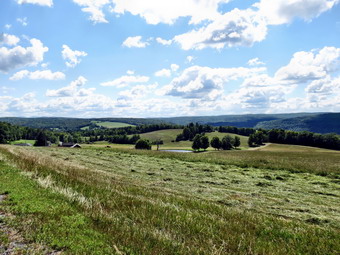 picture taken during a hike