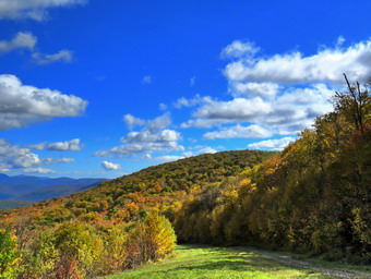 picture taken during a hike