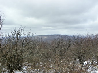 picture taken during a hike