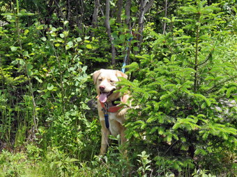 picture taken during a hike