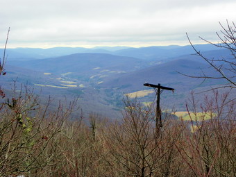 picture taken during a hike