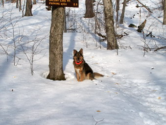 picture taken during a hike