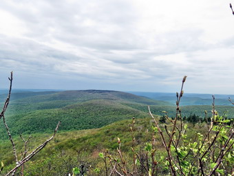 picture taken during a hike