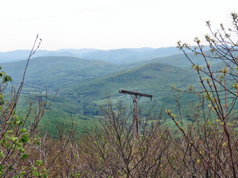 picture taken during a hike