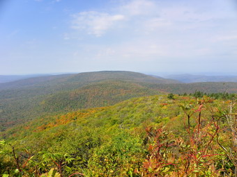 picture taken during a hike