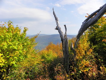 picture taken during a hike