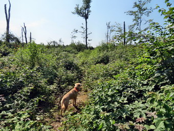 picture taken during a hike