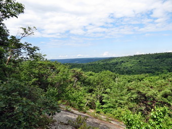 picture taken during a hike