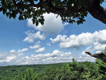 picture taken during a hike