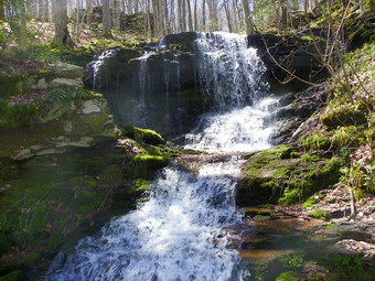 picture taken during a hike