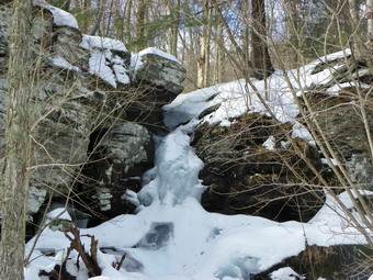 picture taken during a hike