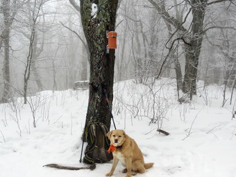 picture taken during a hike