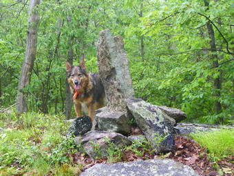 picture taken during a hike