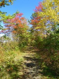 picture taken during a hike