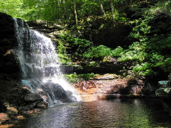 picture taken during a hike