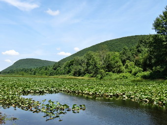 picture taken during a hike