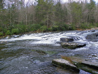 picture taken during a hike