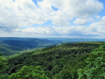 picture taken during a hike